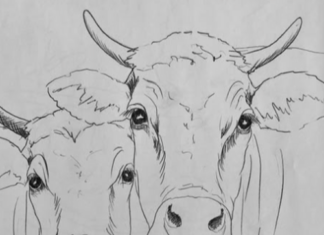 Se ha iniciado una investigación tras el hallazgo de 50 cabezas de ganado muertas en “diversas etapas de descomposición” en la propiedad de La Joya.