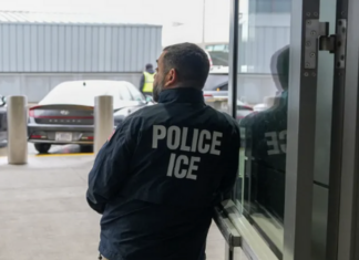 ICE investigará a los abogados de inmigrantes al señalar fraudes en casos de asilo.