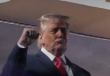 Trump recibe una lluvia de abucheos en las Finales de la NBA en Nueva York.