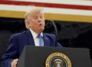 “No la quiero como admiradora”: Trump critica a Meloni tras negar que le suplicó tomarse una foto con él.