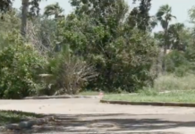 El Cimarron Country Club de Mission se vendió por 3 millones de dólares.