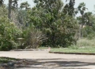 El Cimarron Country Club de Mission se vendió por 3 millones de dólares.