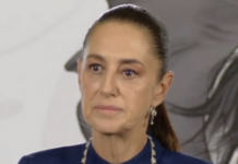 Gobierno de Sheinbaum presentará denuncias en fiscalías de EU tras la muerte de mexicanos a manos del ICE.