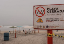 Cofepris declara cinco playas en México no aptas para vacacionar por contaminación bacteriana.