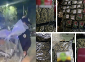 Catean inmueble en la CDMX tras denuncias por la distribución de drogas en taxis por aplicación; incautan 50 kilos de marihuana.