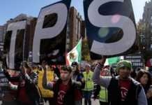 Juez bloquea cambios de USCIS que ponían en riesgo permisos de trabajo por asilo y TPS.