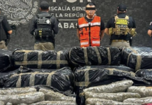 Decomisan más de una tonelada de marihuana en carretera de Tabasco; hay un detenido.