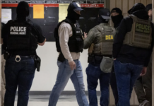 ¿Tendrá un costo político la crueldad migratoria de Trump?