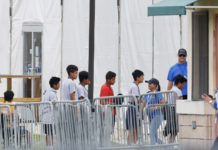 Miles de niños inmigrantes quedarían sin defensa legal por el fin de un contrato federal.