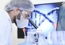 Un nuevo enfoque computacional identifica el ADN humano heredado de ancestros “fantasma”.