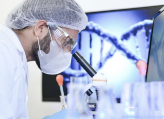 Un nuevo enfoque computacional identifica el ADN humano heredado de ancestros “fantasma”.