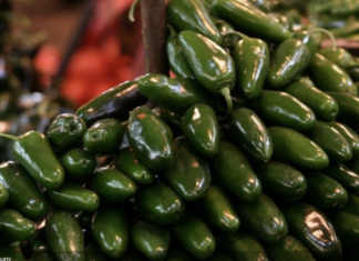 Cofepris investiga planta de chiles jalapeños por brote de salmonela en EU.