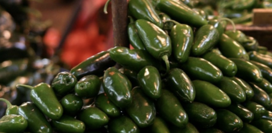 Cofepris investiga planta de chiles jalapeños por brote de salmonela en EU.