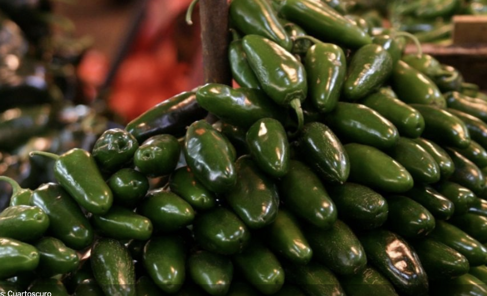 Captura de pantalla 2026-08-07 a la(s) 1.35.51 a.m.