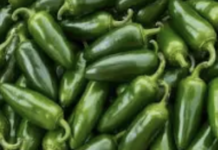 Los jalapeños vinculados a un brote de salmonela en Estados Unidos se rastrearon hasta una granja mexicana y un distribuidor.