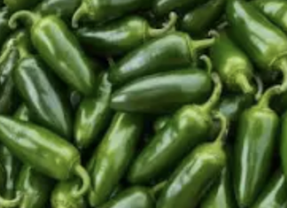 Los jalapeños vinculados a un brote de salmonela en Estados Unidos se rastrearon hasta una granja mexicana y un distribuidor.