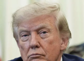 Demócratas alistan investigaciones contra Trump si recuperan la Cámara tras las elecciones, según fuentes.