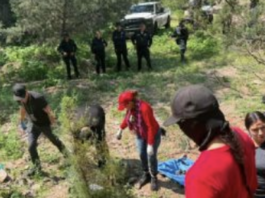 Buscadoras hallan restos en varios puntos de Sonora, Tamaulipas y el Edomex este fin de semana.