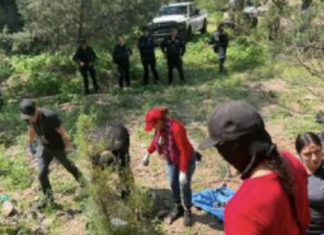 Buscadoras hallan restos en varios puntos de Sonora, Tamaulipas y el Edomex este fin de semana.