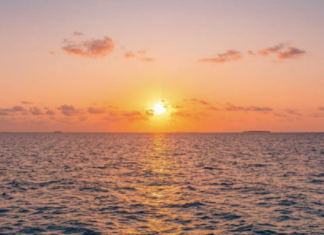 En julio la temperatura del mar alcanzó su máximo jamás registrado para este mes debido al fenómeno de “El Niño”.