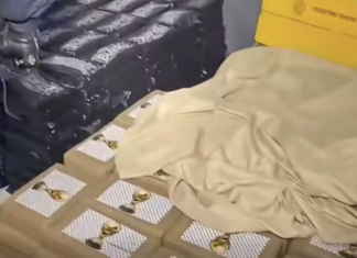 Incautan cerca de una tonelada de drogas del CJNG en inmueble y vehículo en Costa Rica.