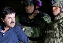 “No va a haber guerra”: videos revelan las primeras palabras de “El Chapo” tras su última captura.