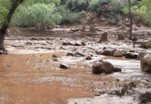 Inundaciones repentinas en el Gran Cañón dejan 15 desaparecidos y decenas de evacuados.