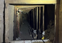 Mexicano se declara culpable en EU de traficar personas usando un túnel subterráneo.