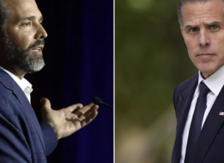 Dos senadores respaldan la petición de investigar a Donald Trump Jr. y a Hunter Biden.