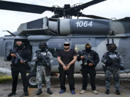 Cae “El Kamoni” en Michoacán; era líder del “Cártel de Tepalcatepec”, buscado por EU.