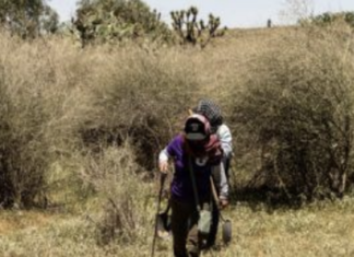 Expertos de la ONU exigen al gobierno de México proteger a las madres buscadoras ante los niveles “alarmantes” de violencia.