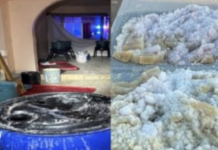 Arrestan a cinco sujetos de Sinaloa tras el desmantelamiento de laboratorio clandestino de metanfetamina en California.