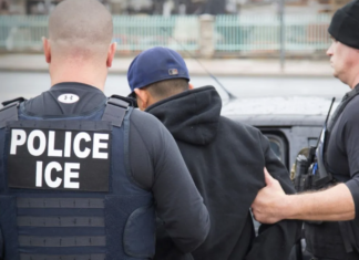 Ni tener la ciudadanía los protegió: más de 500 estadounidenses han sido detenidos por ICE.