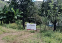 Descubren presunto centro de exterminio en Nayarit donde las personas eran incineradas.