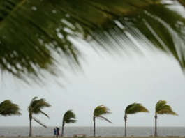 Isaías se debilita, pero deja a más de 900,000 personas sin luz y amenaza con inundaciones.