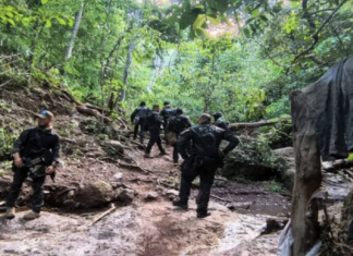 Incautan cerca de 50 drones y desmantelan un laboratorio clandestino en dos operaciones en Sinaloa.
