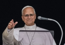 El Papa León les dice a los fieles en la Plaza de San Pedro que retomará gradualmente sus funciones después de la cirugía por cáncer.