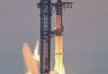 SpaceX, la empresa de Elon Musk, reporta ganancias y él insinúa una posible fusión con Tesla.