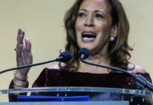 Kamala Harris organizará foros públicos para incentivar a votar en las elecciones intermedias.