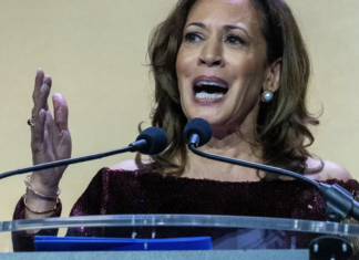 Kamala Harris organizará foros públicos para incentivar a votar en las elecciones intermedias.