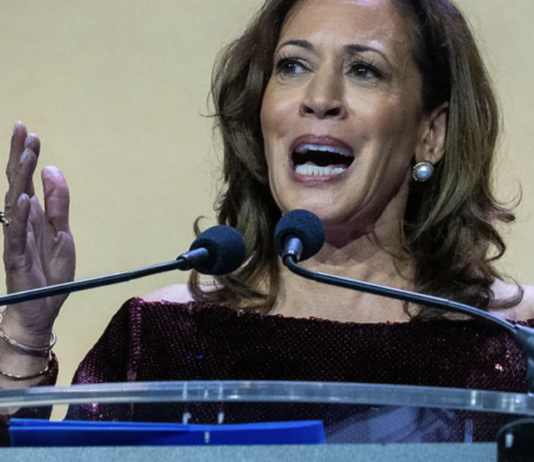 Kamala Harris organizará foros públicos para incentivar a votar en las elecciones intermedias.